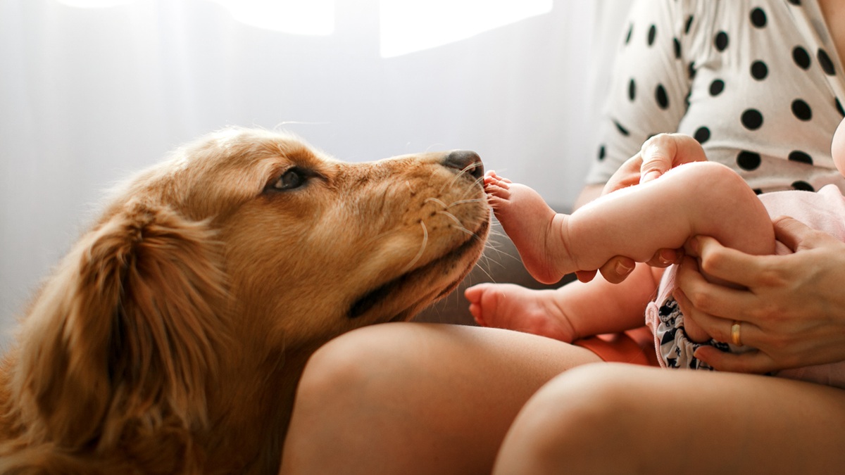 Πηγή φωτό: iStock