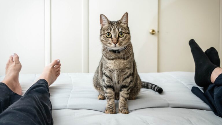 Πηγή φωτό: iStock