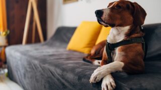 Πηγή φωτό: iStock