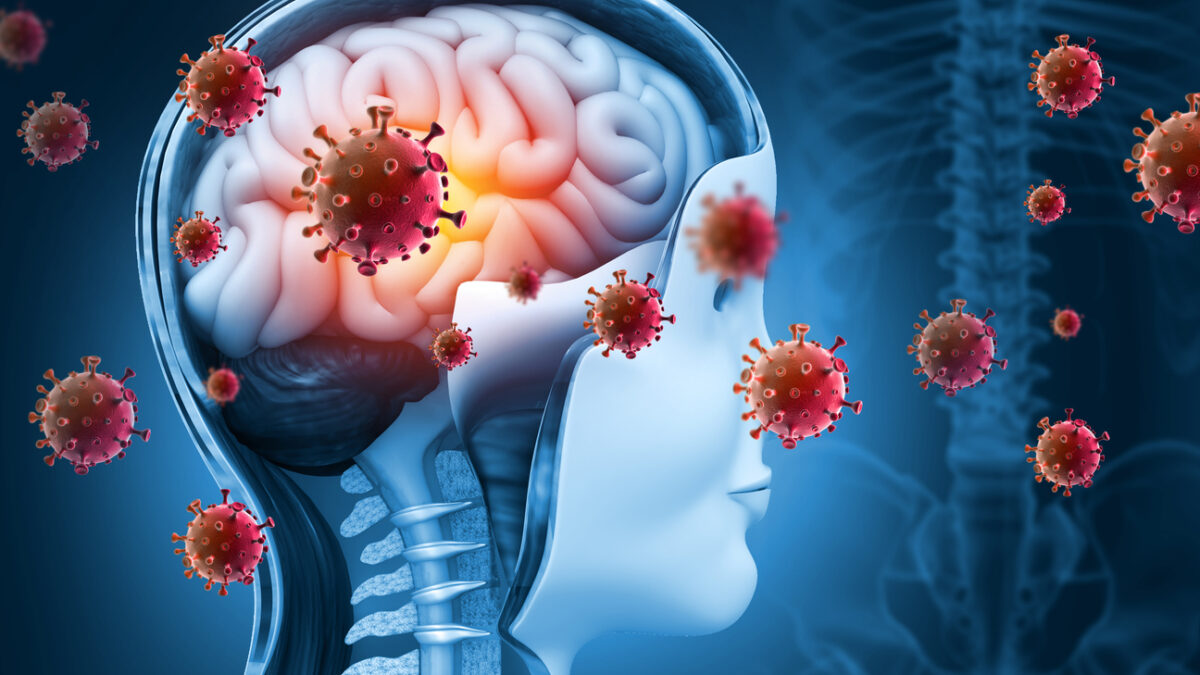 Brain viral infection, Viral meningitis and encephalitis. 3d illustration