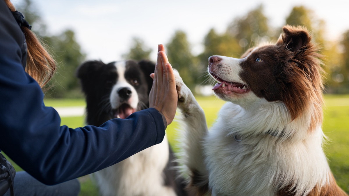 Πηγή φωτό: iStock