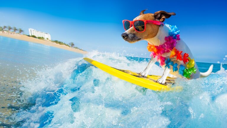 Πηγή φωτό: iStock