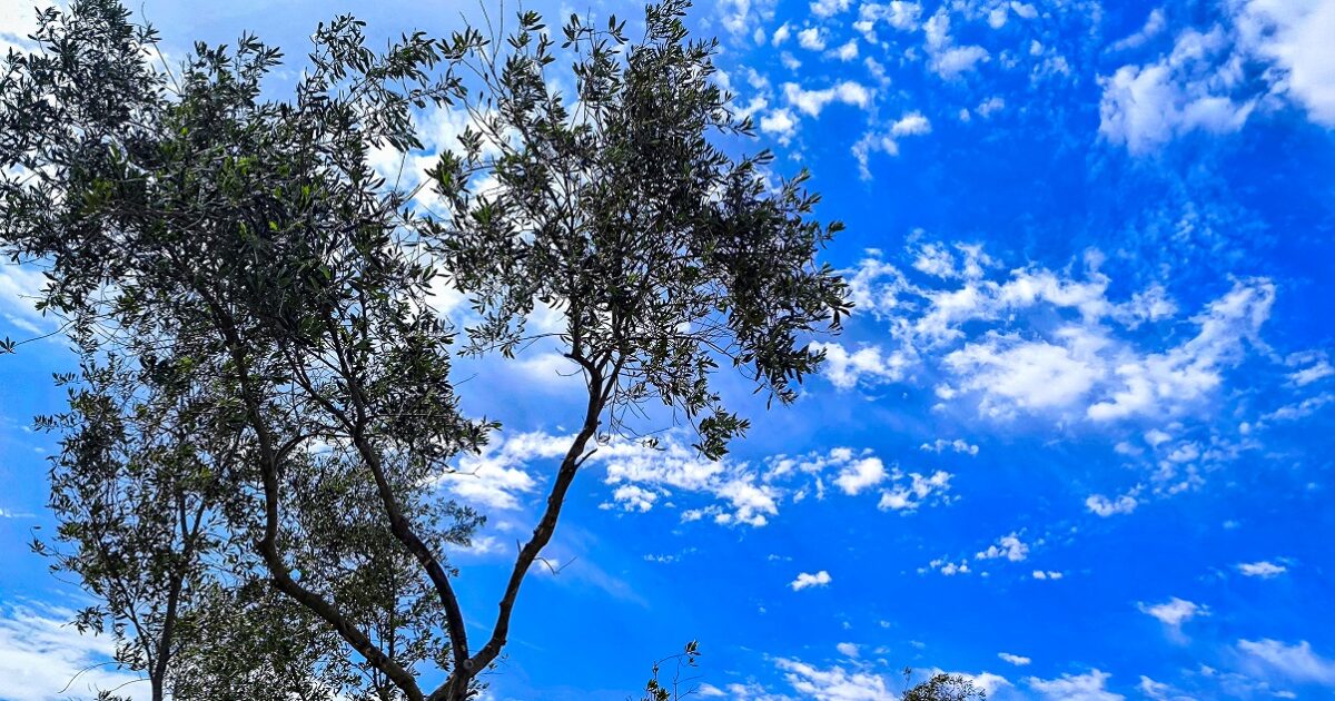 Καιρός αύριο: Νέα άνοδος της θερμοκρασίας, θα φτάσει τους 26 βαθμούς