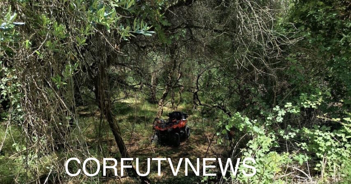 www.newsit.gr