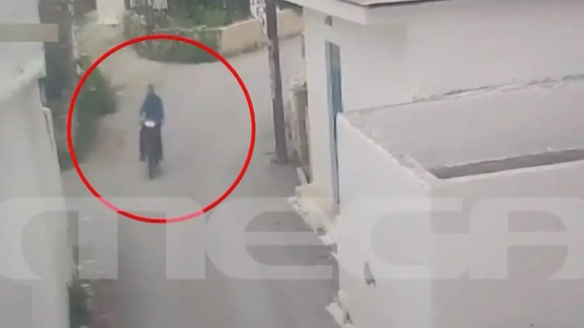 Αλέκος Δασκαλάκης