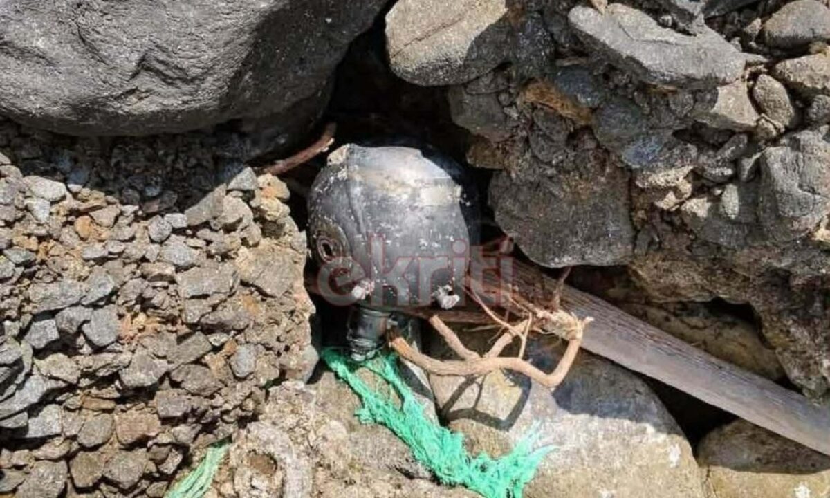 Νάρκη