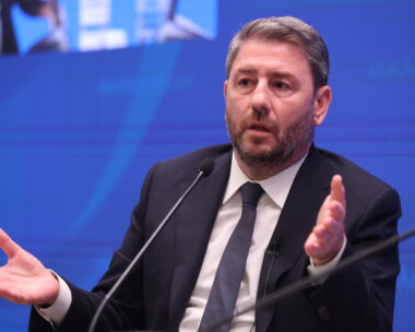 Νίκος Ανδρουλάκης