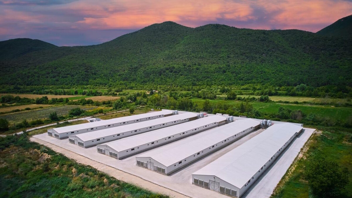 Εγκαταστάσεις της εταιρείας Νιτσιάκος