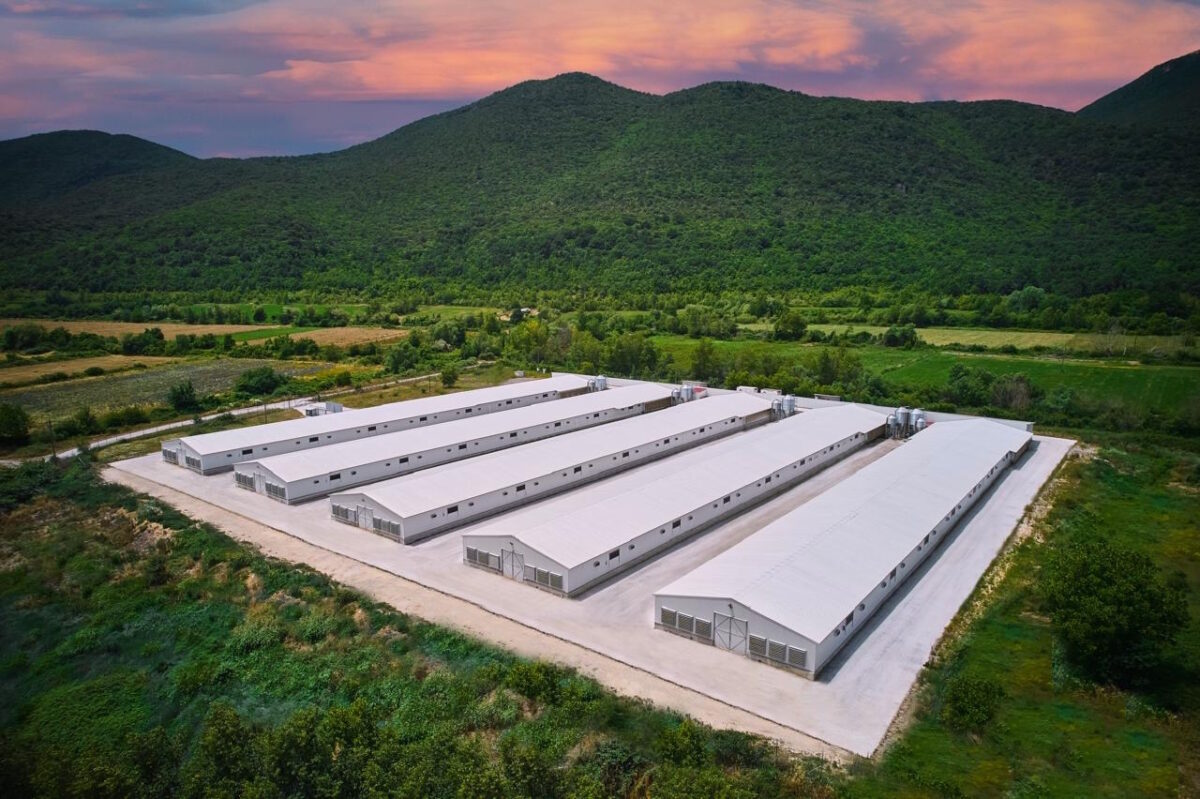 Εγκαταστάσεις της εταιρείας Νιτσιάκος