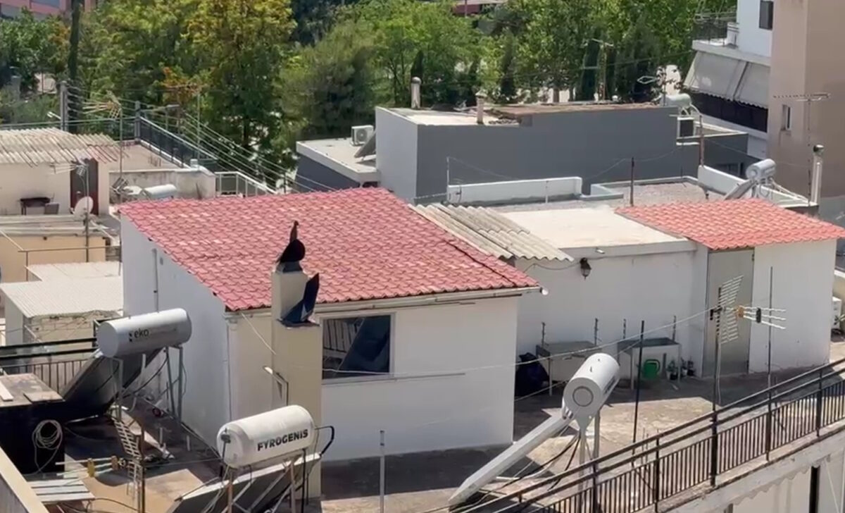 Περιστέρι: Τρεις καταγγελίες για τα παιδιά που ζούσαν στο σπίτι τρώγλη - Είχε αφαιρεθεί η επιμέλεια από τους γονείς