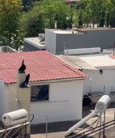 Το σπίτι τρώγλη στο Περιστέρι