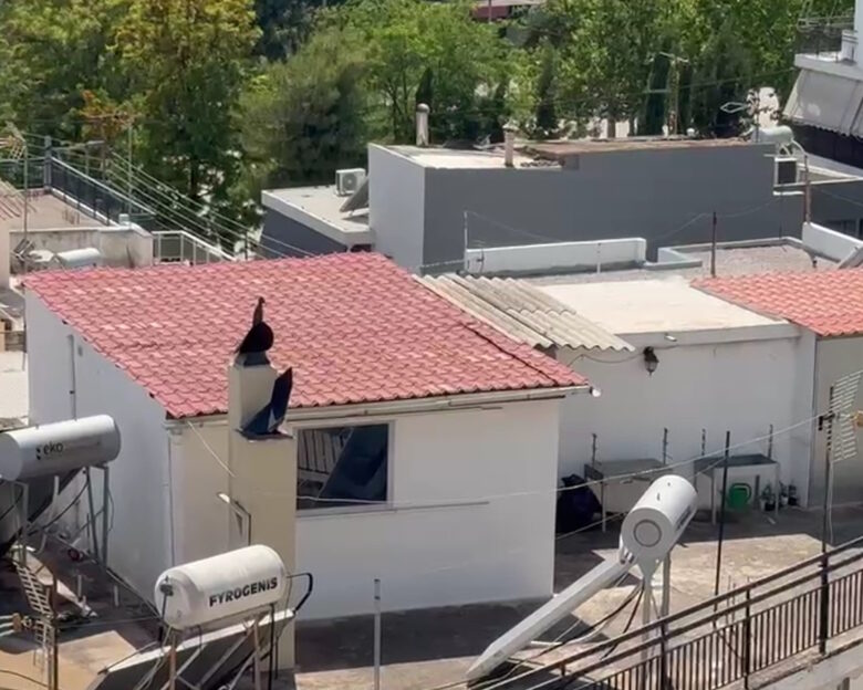 Το σπίτι τρώγλη στο Περιστέρι