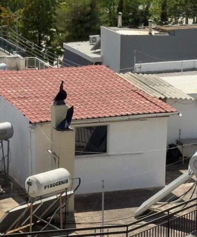 Σύλληψη γονιών για έκθεση ανηλίκων σε κίνδυνο