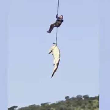 Εναέρια επιχείρηση ανάκτησης σορού άνδρα που τον κατασπάραξε κροκόδειλος σε ποτάμι της Νοτίου Αφρικής