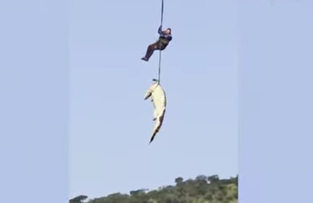 Νότια Αφρική: Βίντεο από επιχείρηση ανάκτησης ανθρώπινης σορού σε ποτάμι με κροκόδειλους