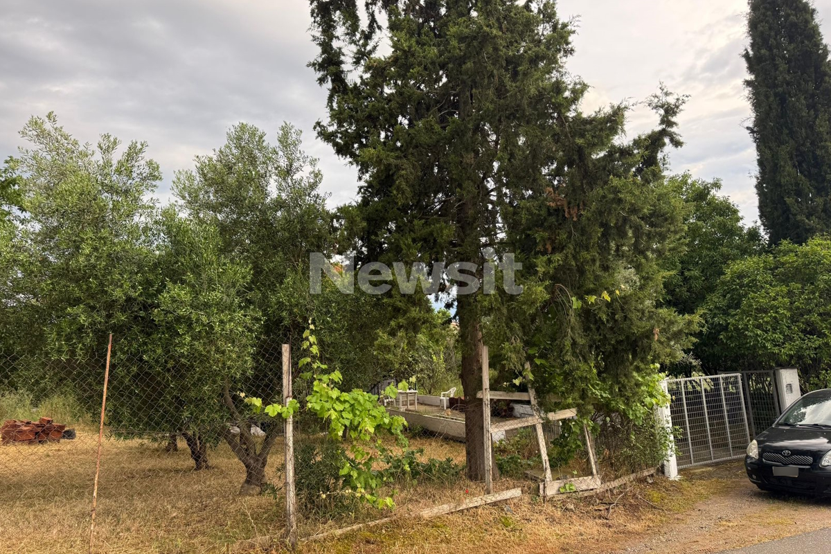 Θεσσαλονίκη δολοφονία