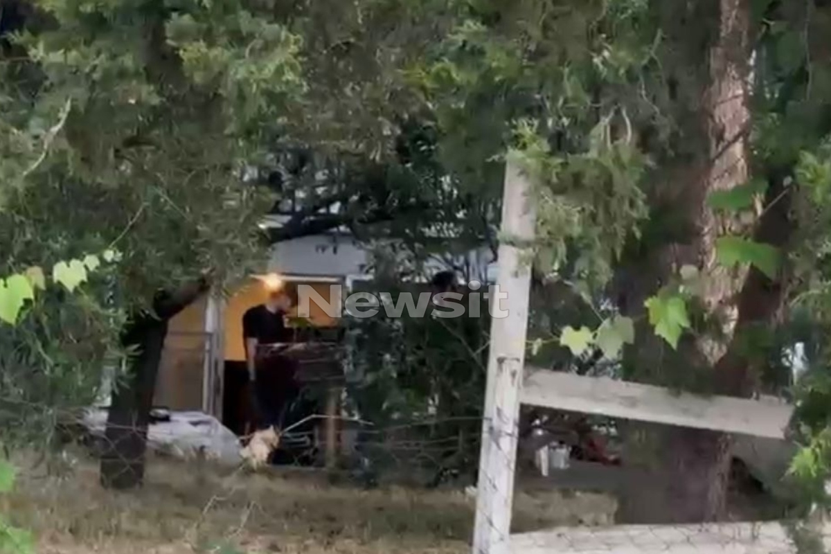 Θεσσαλονίκη δολοφονία