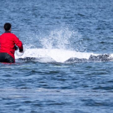 27 April 2026, Mecklenburg-Western Pomerania, Poel: A helper moistens the whale's back with wet cloths. The humpback whale that stranded near Wismar about a month ago is still stuck in shallow water. A private initiative has been trying to rescue the whale for days. Photo by: Philip Dulian/picture-alliance/dpa/AP Images