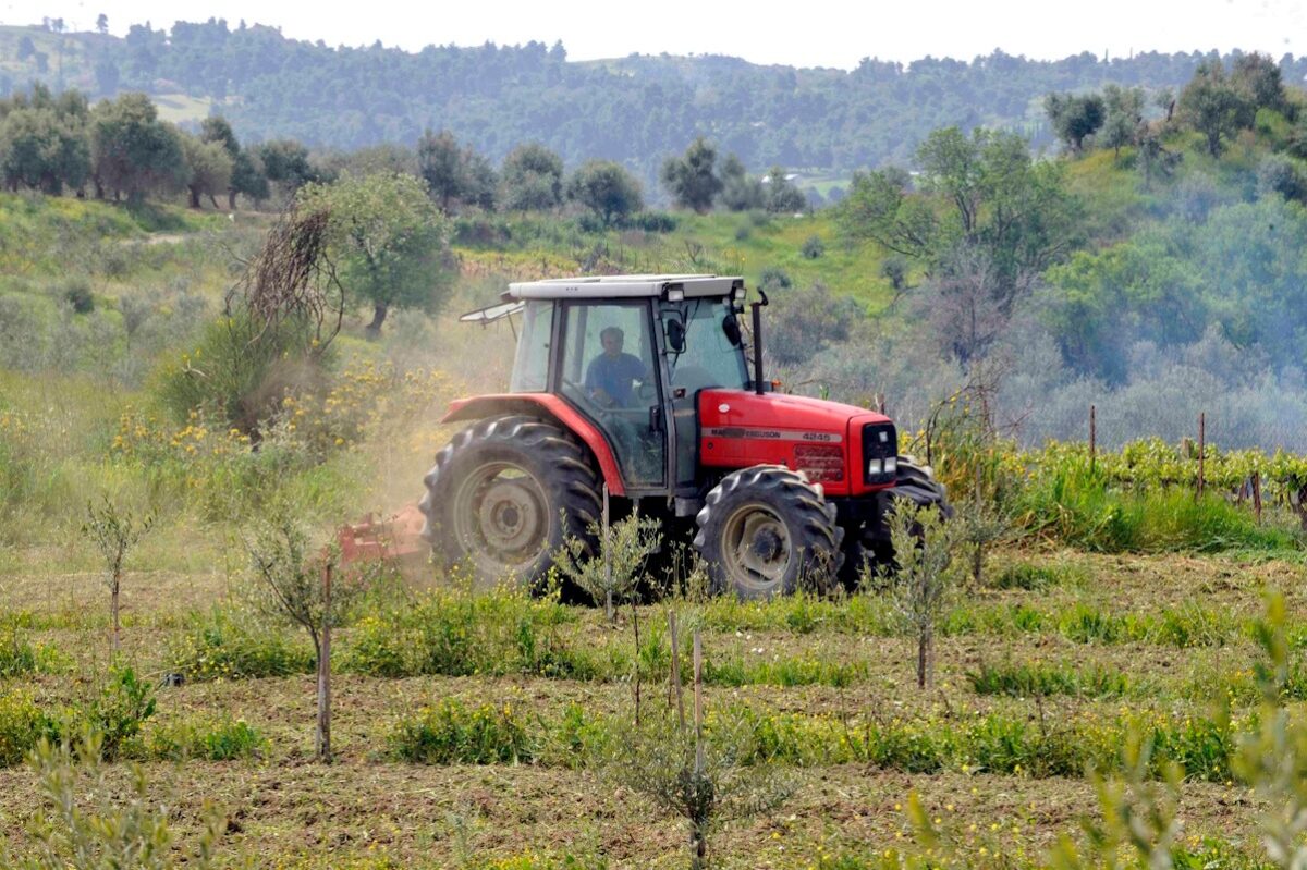 Αγρότες: Παράθυρο έως 29 Μαΐου για δηλώσεις ΦΠΑ χωρίς πρόστιμα | Επικαιρότητα στο PlusTV.gr