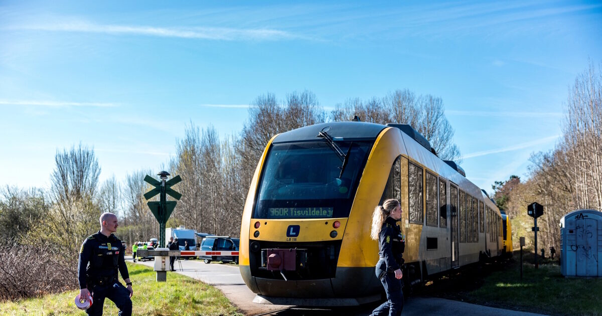 Billedet i artiklen