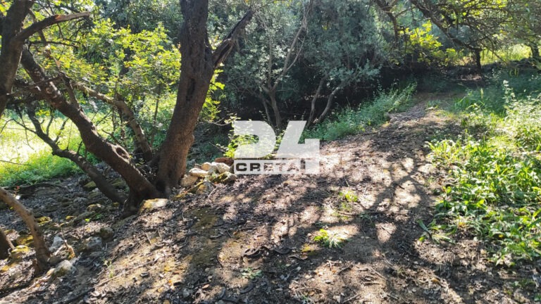 Το σημείο που βρέθηκε νεκρός ο άτυχος γιατρός