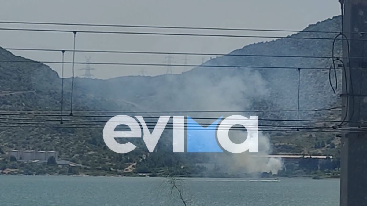 Φωτιά στη Χαλκίδα