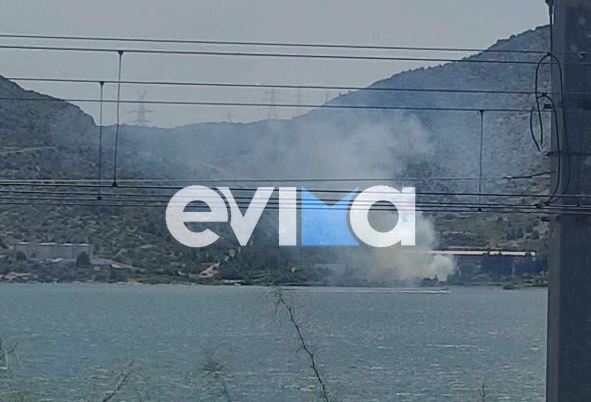 Φωτιά στη Χαλκίδα - 12 πυροσβέστες στο σημείο