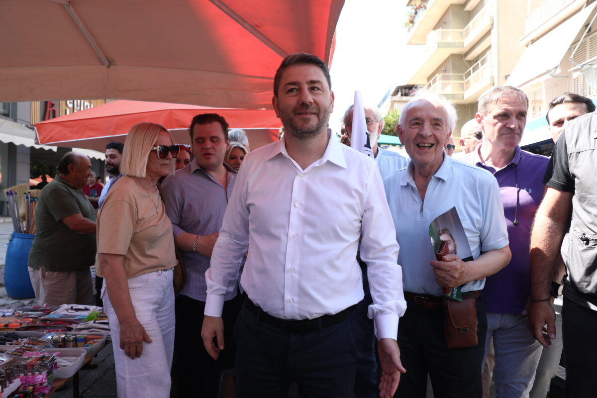 Ο Νίκος Ανδρουλάκης