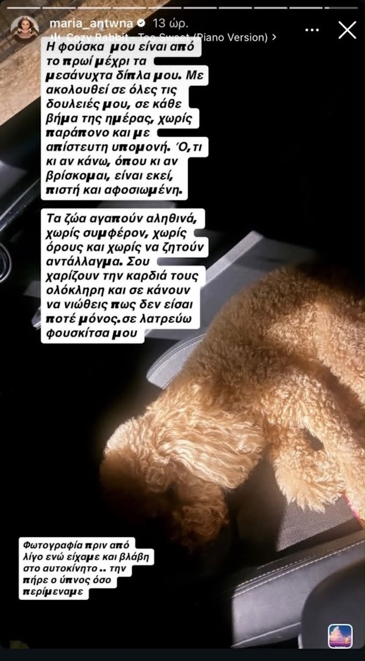 Η ανάρτηση της Μαρίας Αντωνά