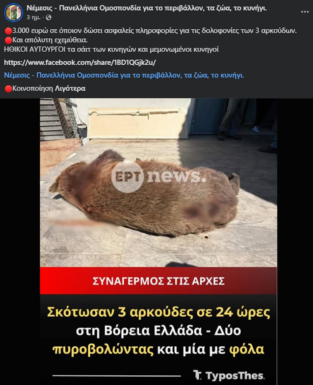 Αρκούδες