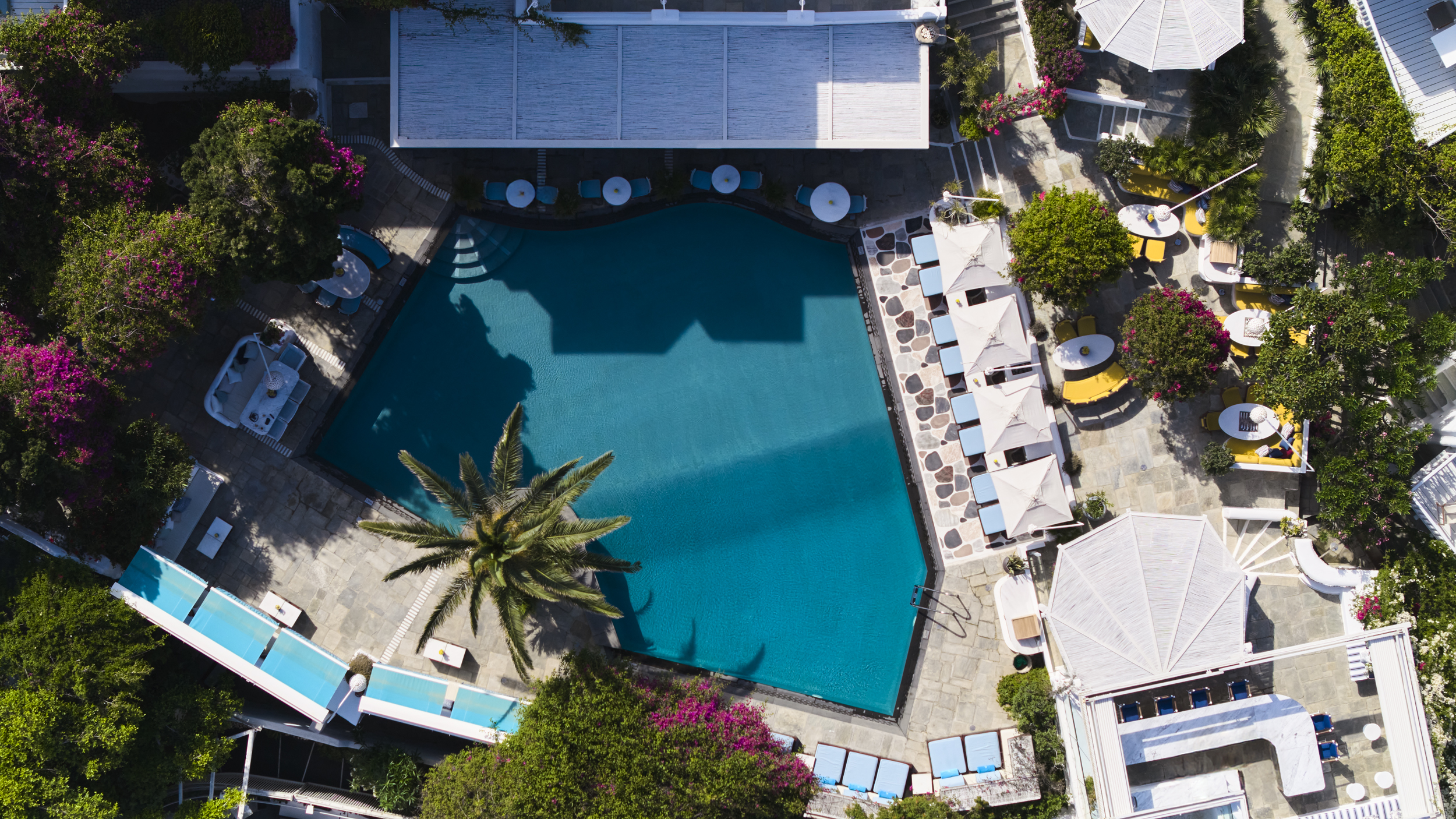 Belvedere Mykonos x Ιώδιο: Η Μύκονος υποδέχεται τη θαλασσινή κουζίνα της Αθήνας