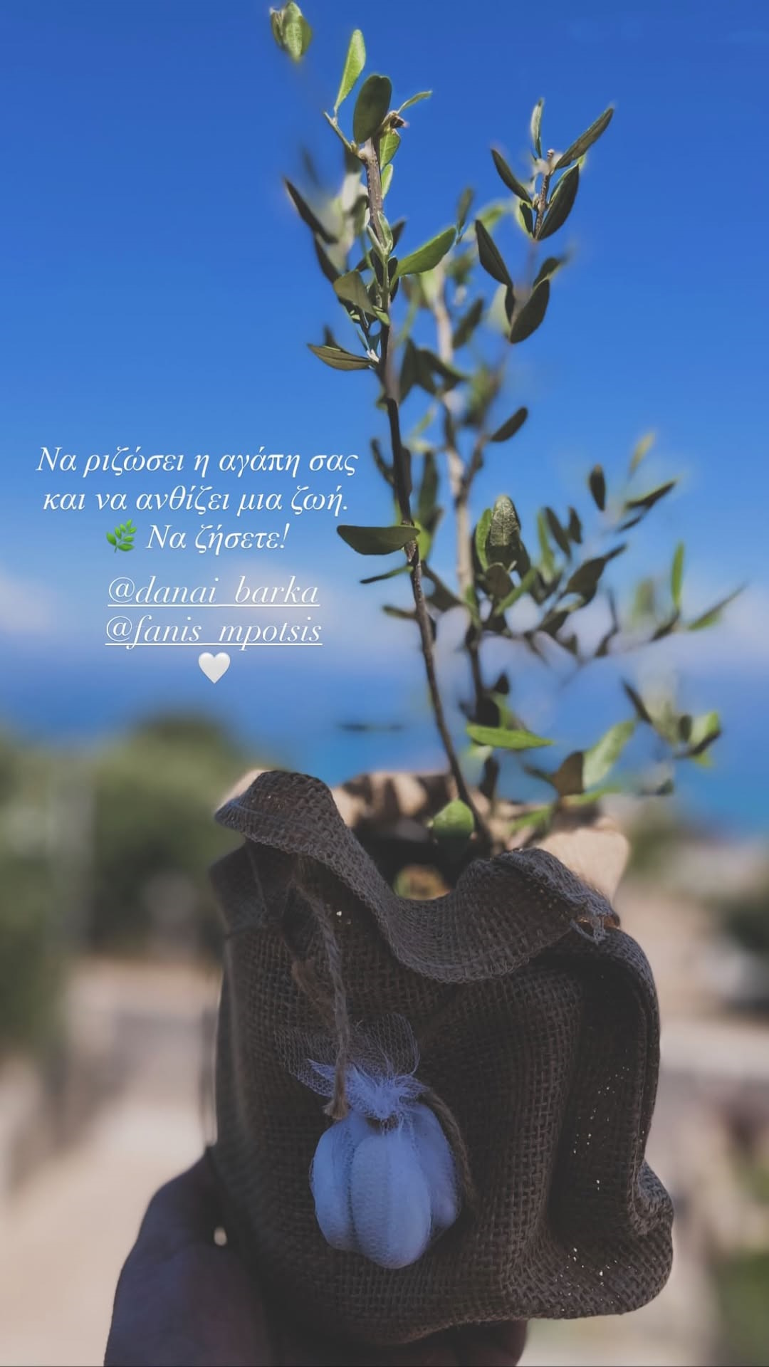 Δανάη Μπάρκα