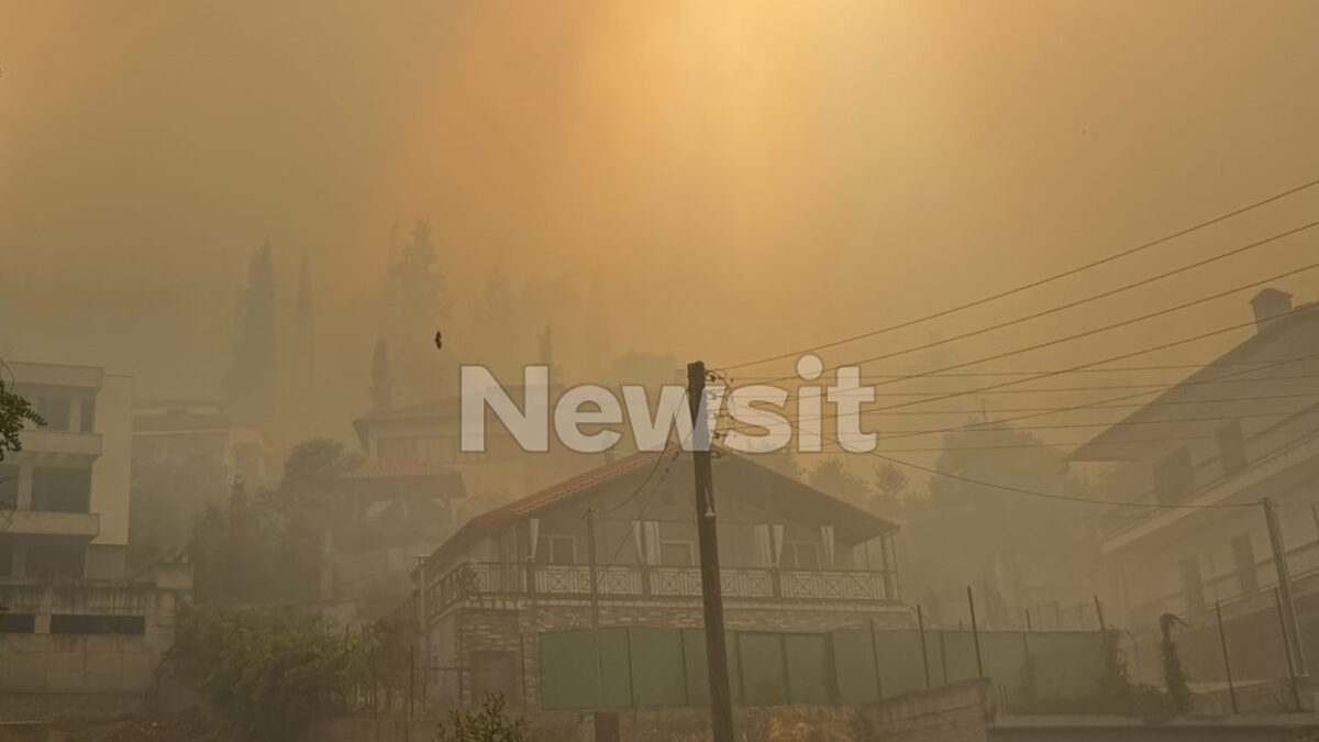 Φωτιά στο Δερβένι Ωραιοκάστρου: Ένας νεκρός και «βροχή» μηνυμάτων του 112 – Μία εγκαυματίας στο Ιπποκράτειο