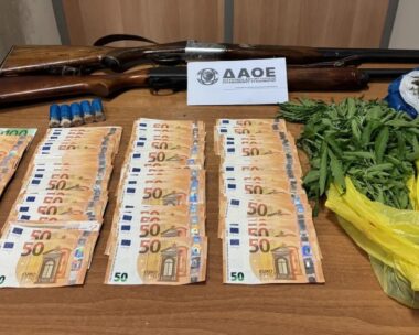 ΟΠΕΚΕΠΕ: Πώς δρούσε το κύκλωμα που εξαρθρώθηκε σε Αγρίνιο και Κοζάνη κατά την επιχείρηση «Θερισμός» – Δήλωναν εκτάσεις που ανήκουν στο δημόσιο