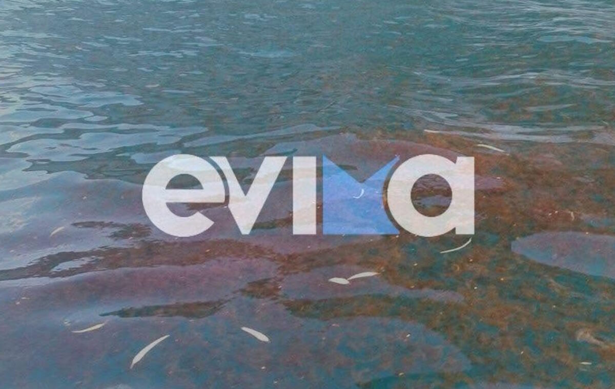 Εύβοια: Η θάλασσα μεταμορφώθηκε από την παρουσία μεγάλου αριθμού μεδουσών