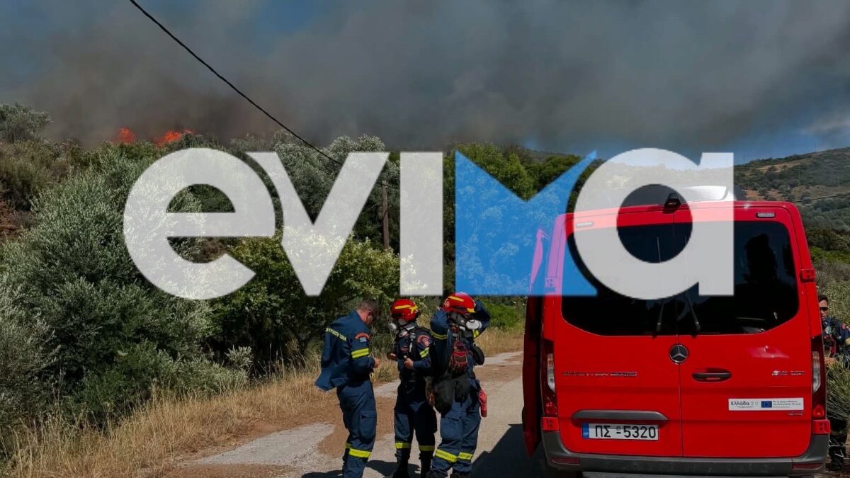 Φωτιά στην Εύβοια