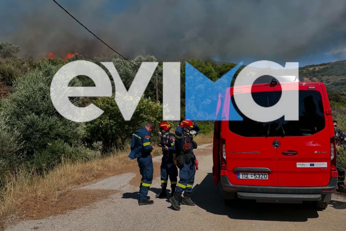 Φωτιά στην Εύβοια