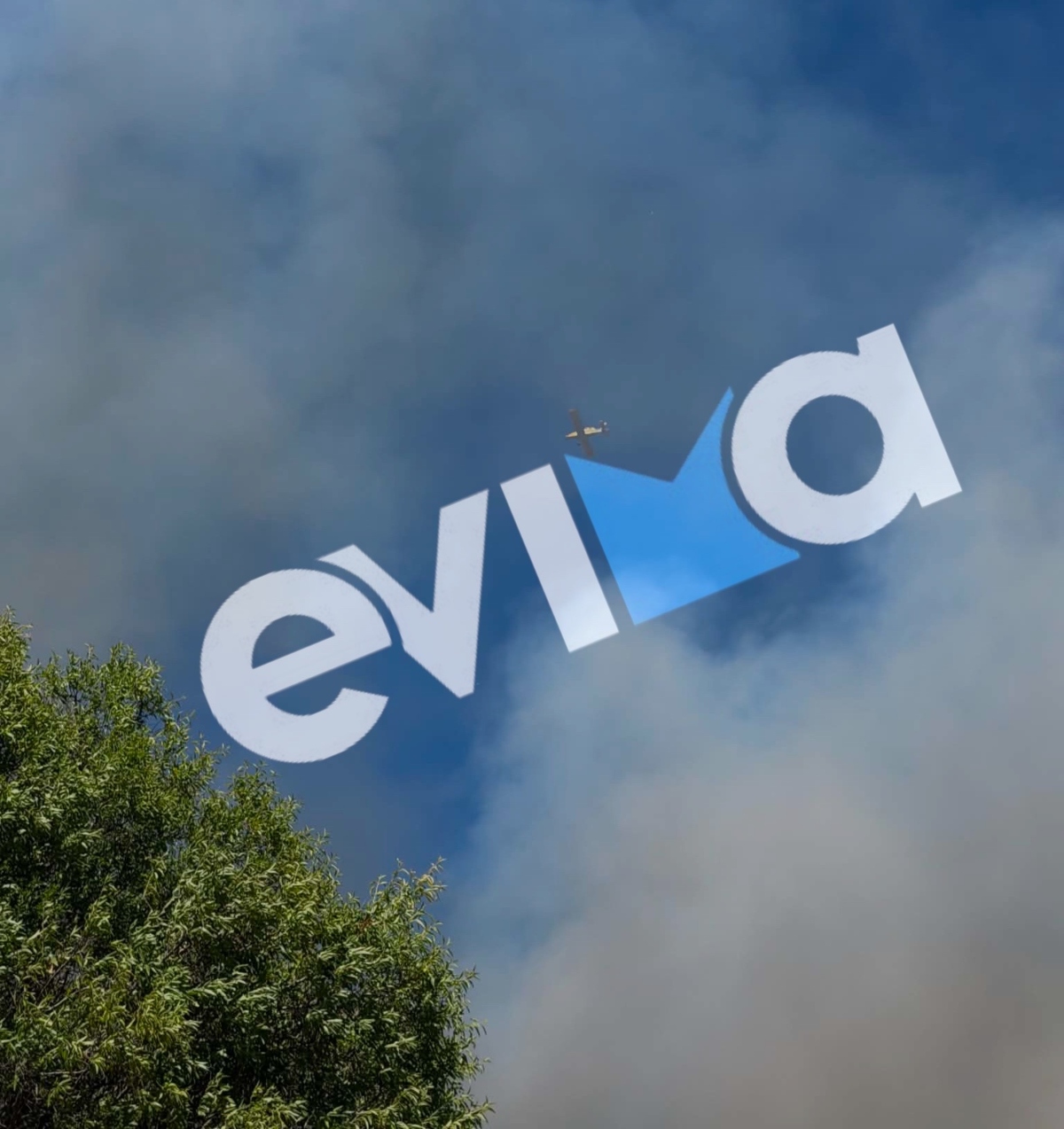 Φωτιά στην Εύβοια