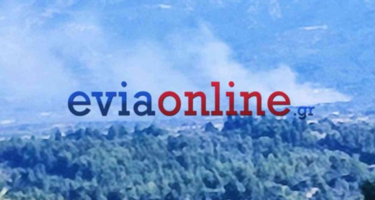 Φωτιά στη Λούτσα Εύβοιας