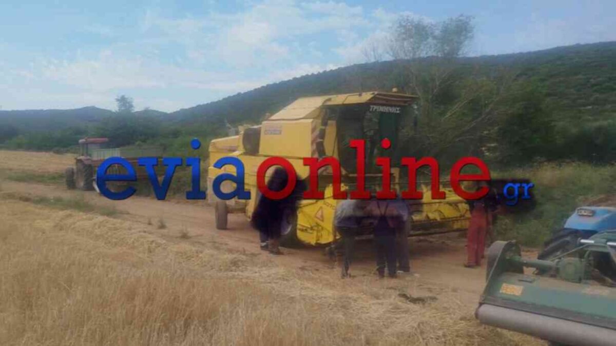 Φωτιά στην Εύβοια