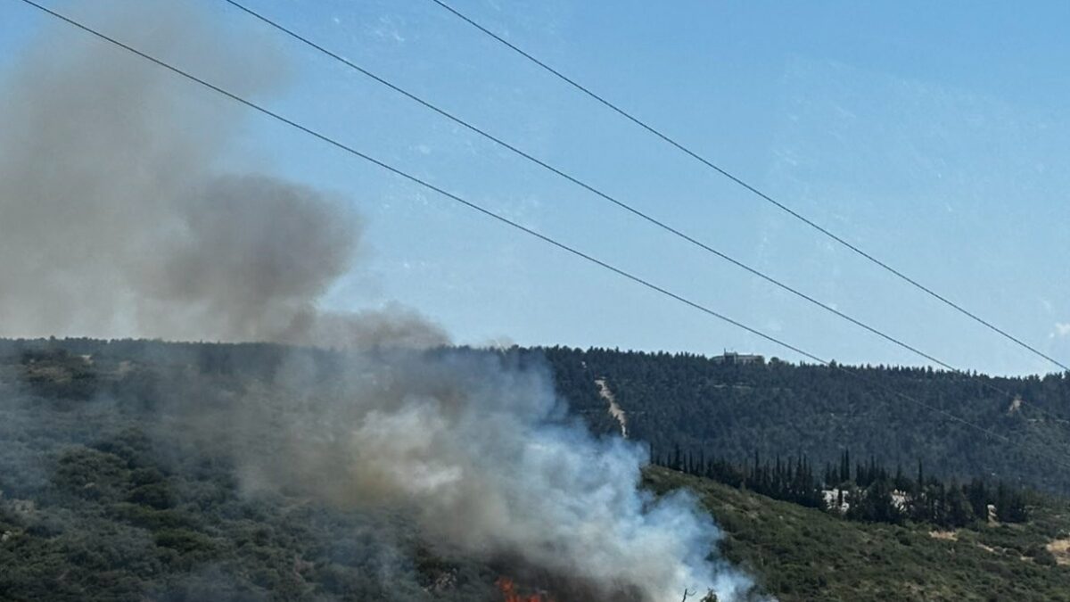 ΠΥΡΚΑΓΙΑ ΣΕ ΧΑΜΗΛΗ ΒΛΑΣΤΗΣΗ ΣΤΟ ΦΙΛΥΡΟ ΘΕΣΣΑΛΟΝΙΚΗΣ (ΣΥΝΕΡΓΑΤΗΣ/EUROKINISSI)