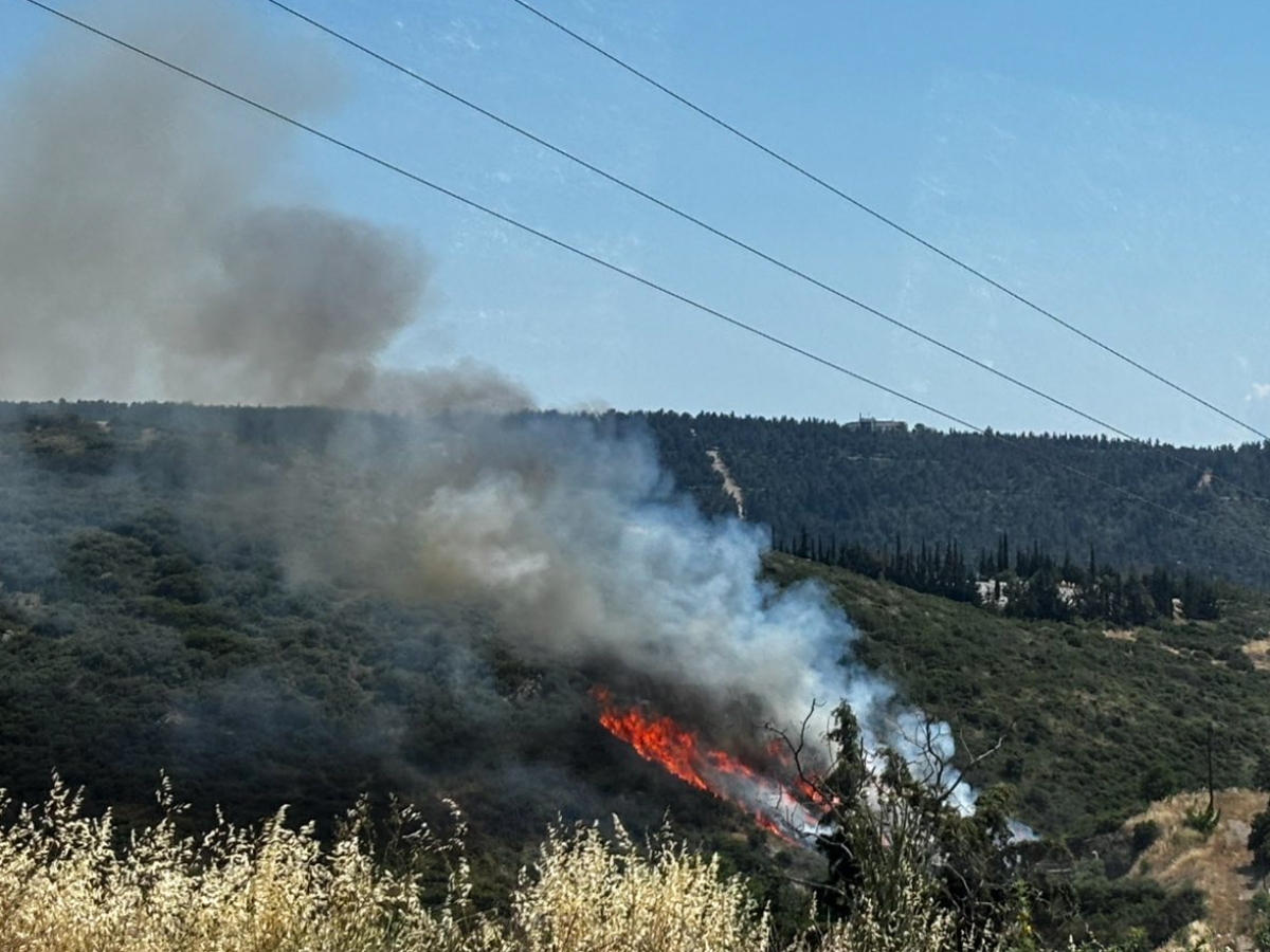 ΠΥΡΚΑΓΙΑ ΣΕ ΧΑΜΗΛΗ ΒΛΑΣΤΗΣΗ ΣΤΟ ΦΙΛΥΡΟ ΘΕΣΣΑΛΟΝΙΚΗΣ (ΣΥΝΕΡΓΑΤΗΣ/EUROKINISSI)
