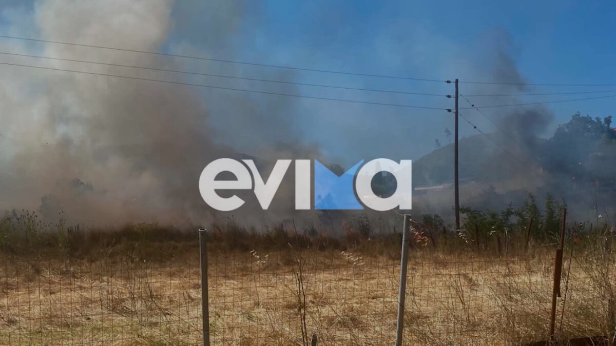 Φωτιά στην Εύβοια, στην περιοχή Σπαθάρι: Σηκώθηκαν 11 εναέρια μέσα