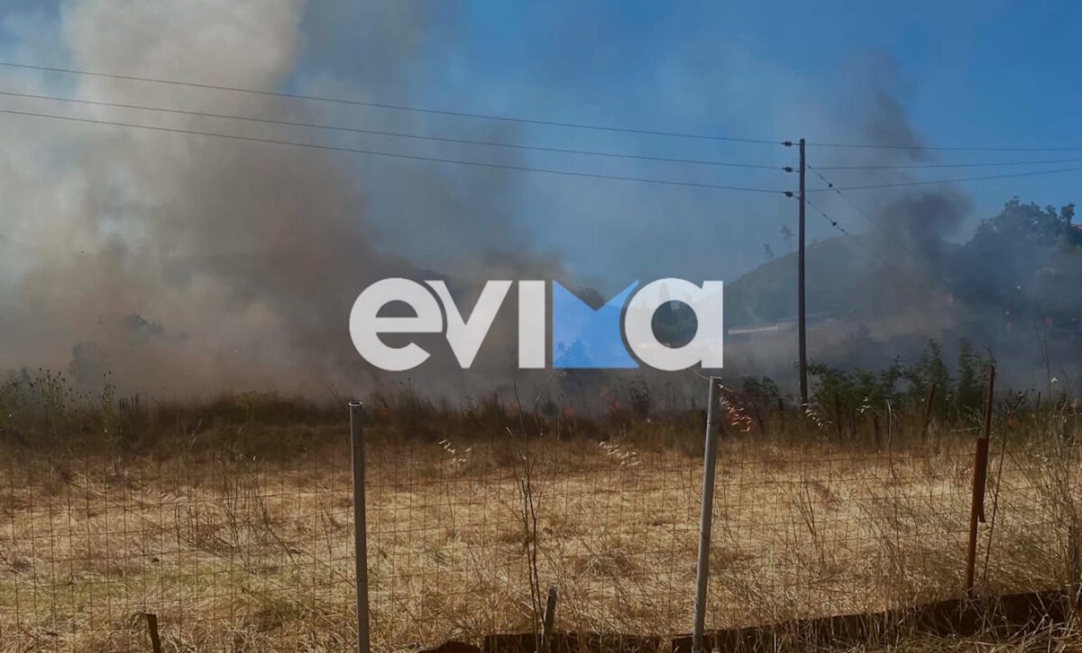 Φωτιά στην Εύβοια, στην περιοχή Σπαθάρι: Σηκώθηκαν 11 εναέρια μέσα