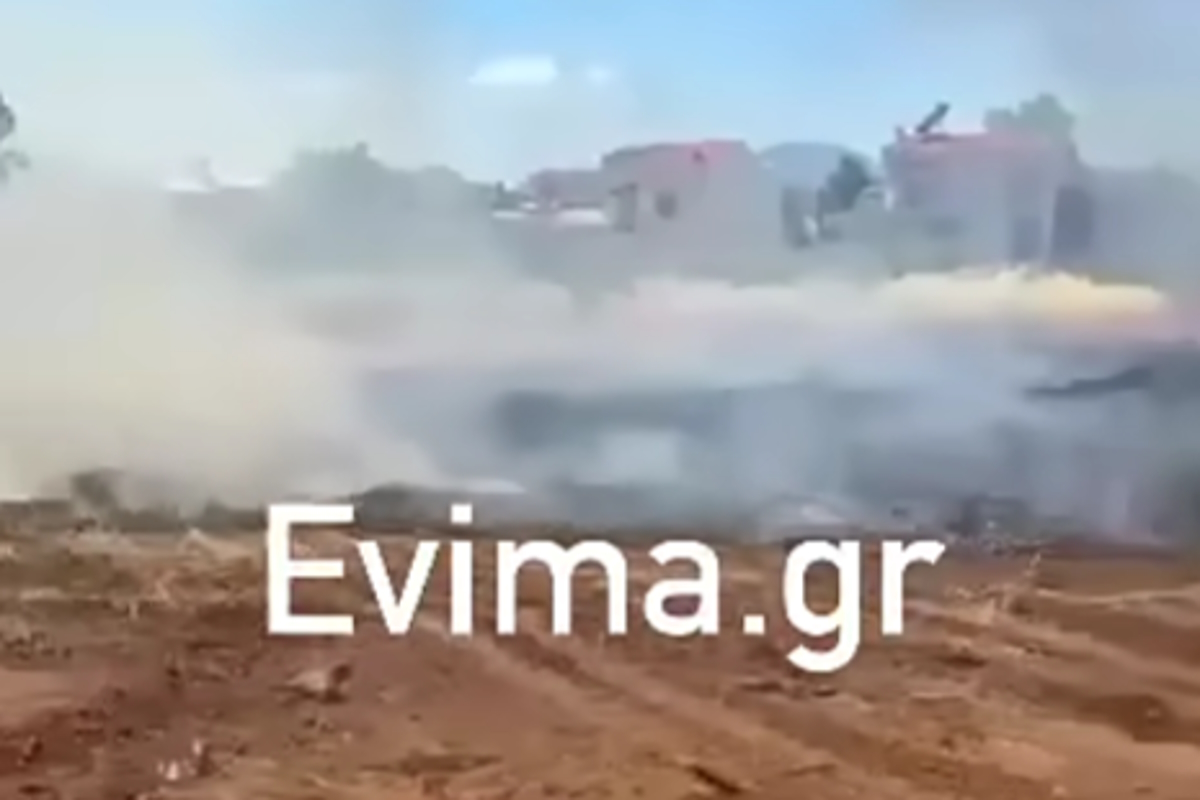 Εύβοια: Συνελήφθη 50χρονος για τη φωτιά κοντά σε σπίτια στη Νέα Αρτάκη | Επικαιρότητα στο PlusTV.gr