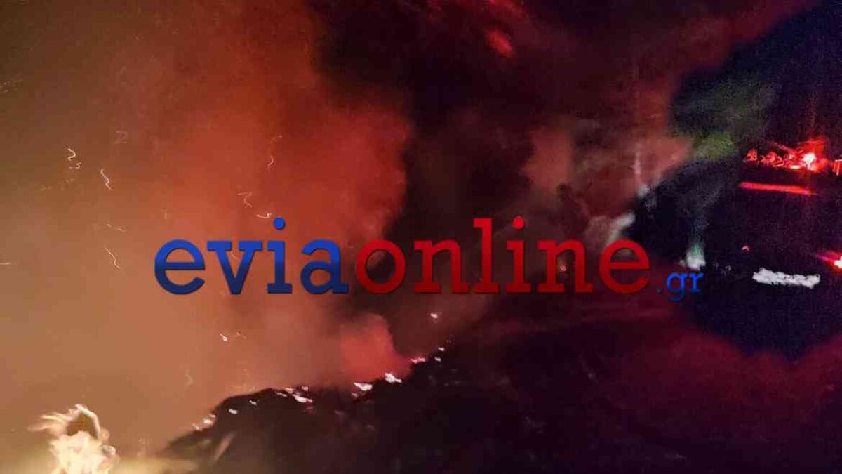Φωτιά στην Εύβοια