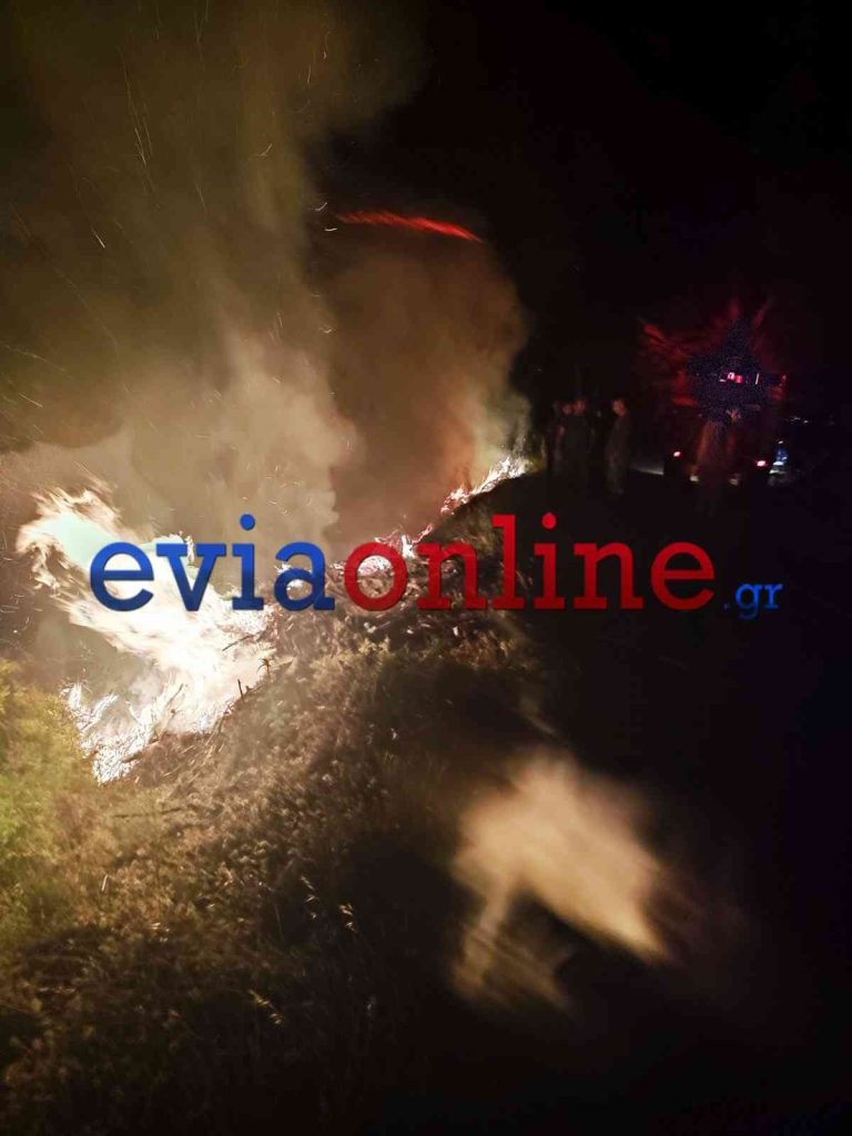 Φωτιά στην Εύβοια