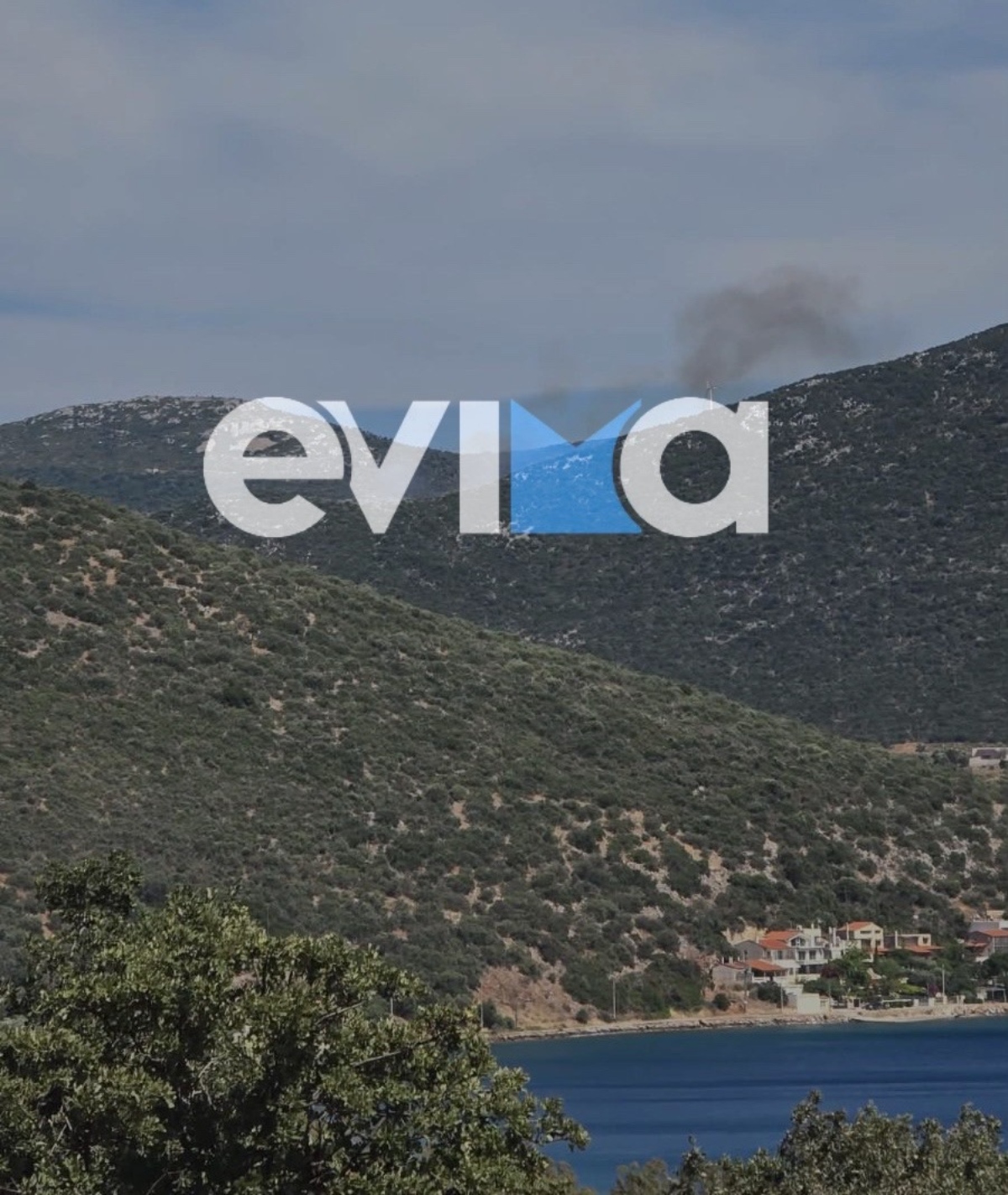 Φωτιά στην Εύβοια