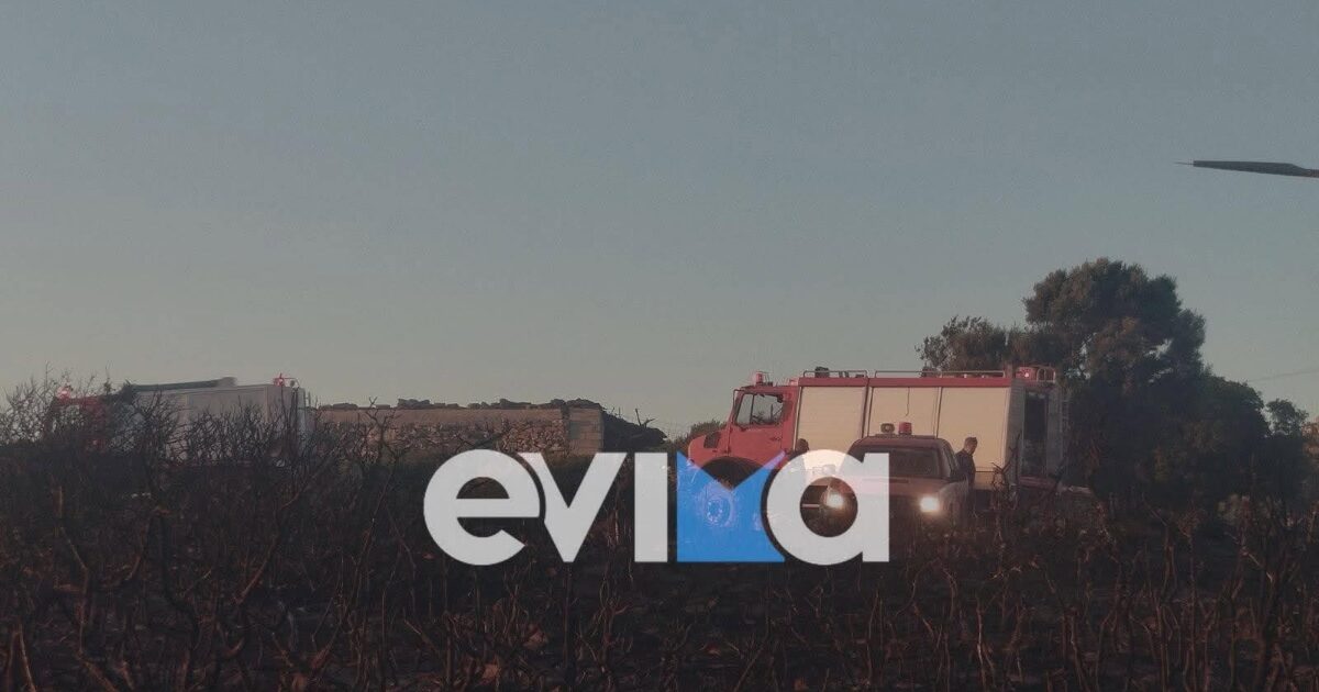 Οριοθετήθηκε η φωτιά στην Εύβοια: Φόβοι για αναζωπυρώσεις μετά την πολύωρη μάχη με τις φλόγες – 41 ενάρξεις αντιμετωπίστηκαν το τελευταίο 24ωρο