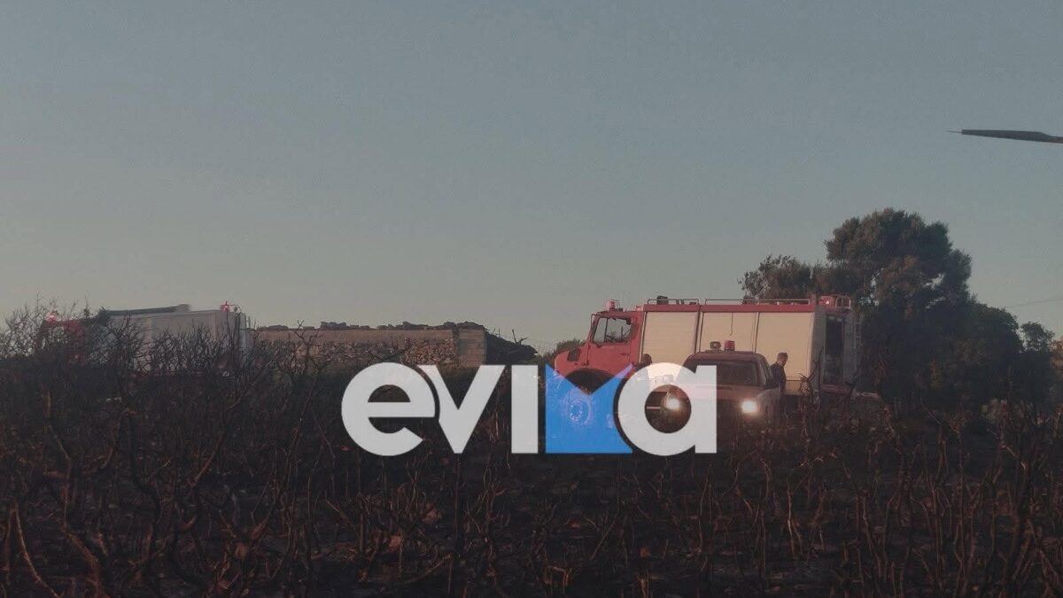 Φωτιά στην Εύβοια